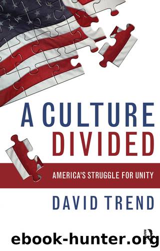 Culture Divided by David Trend