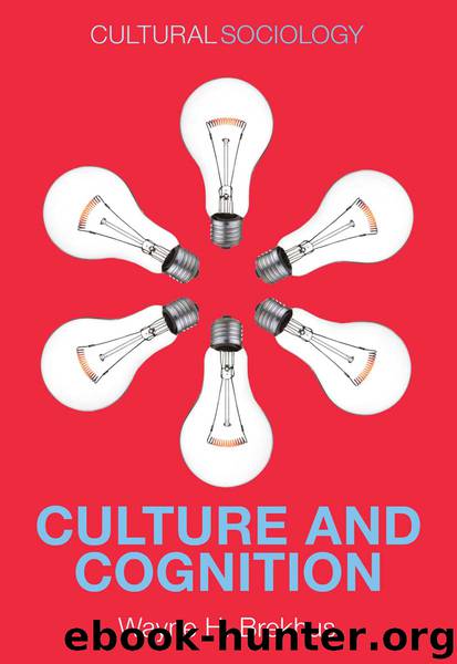 Culture and Cognition by Wayne H. Brekhus