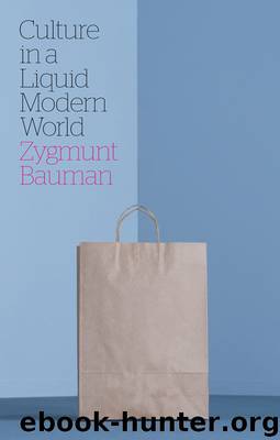 Culture in a Liquid Modern World by Bauman Zygmunt; Bauman Lydia;