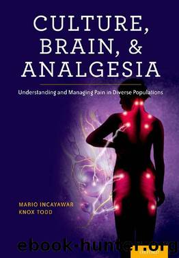 Culture, Brain, and Analgesia : Understanding and Managing Pain in Diverse Populations by Mario Incayawar; Knox H. Todd