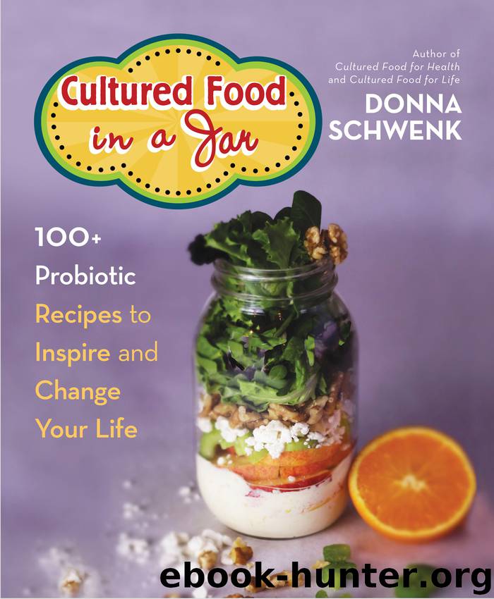 Cultured Food in a Jar by Donna Schwenk