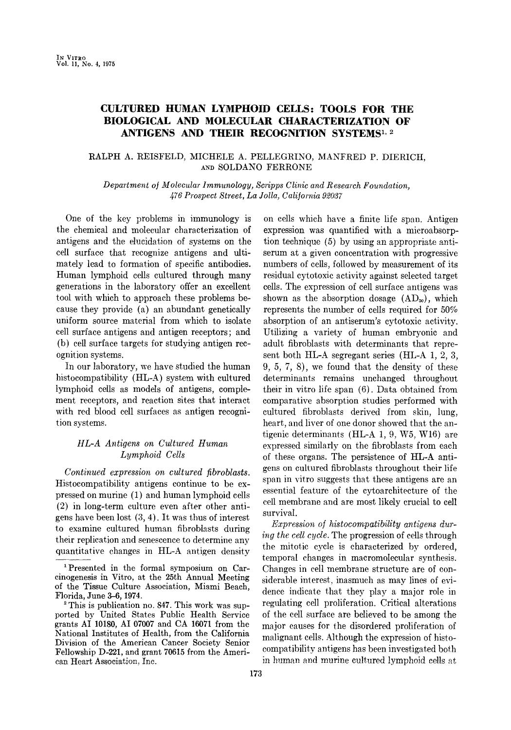 Cultured human lymphoid cells: Tools for the biological and molecular characterization of antigens and their recognition systems by Unknown