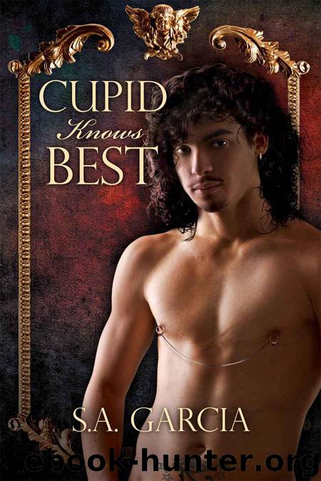 Cupid Knows Best by Garcia S.A