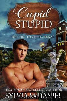 Cupid Stupid: Return to Cupid, Texas by Sylvia McDaniel