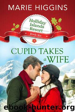 Cupid Takes a Wife by Marie Higgins