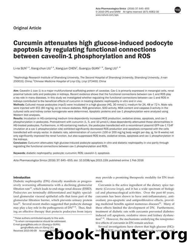 Curcumin attenuates high glucose-induced podocyte apoptosis by regulating functional connections between caveolin-1 phosphorylation and ROS by Li-na Sun & Xiang-chun Liu & Xiang-jun Chen & Guang-ju Guan & Gang Liu