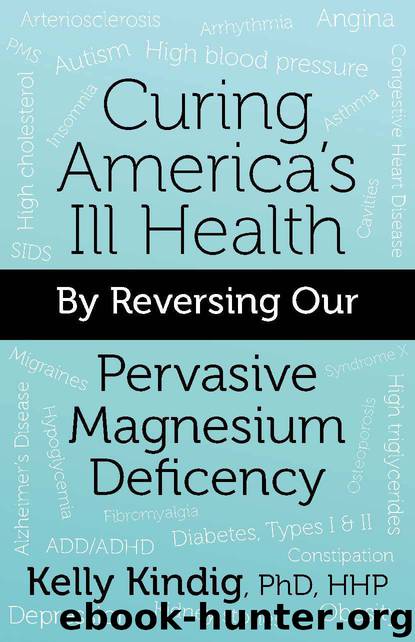 Curing America's Ill-Health By Reversing Our Widespread Magnesium Deficiency by Kindig Kelly PhD HHP
