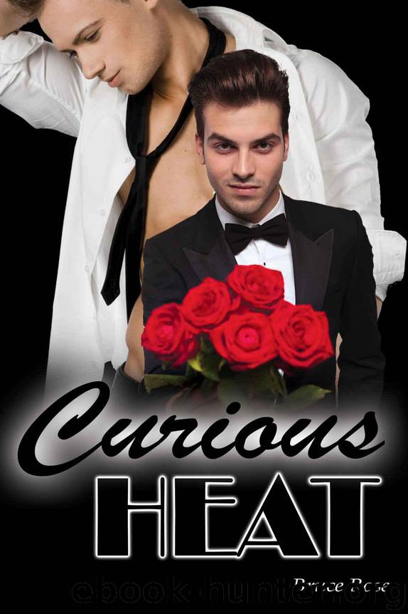 Curious Heat by Rose Bruce
