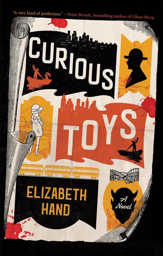 Curious Toys by Elizabeth Hand
