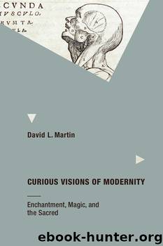 Curious Visions of Modernity by David L Martin