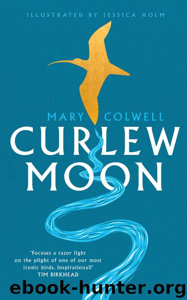 Curlew Moon by Mary Colwell