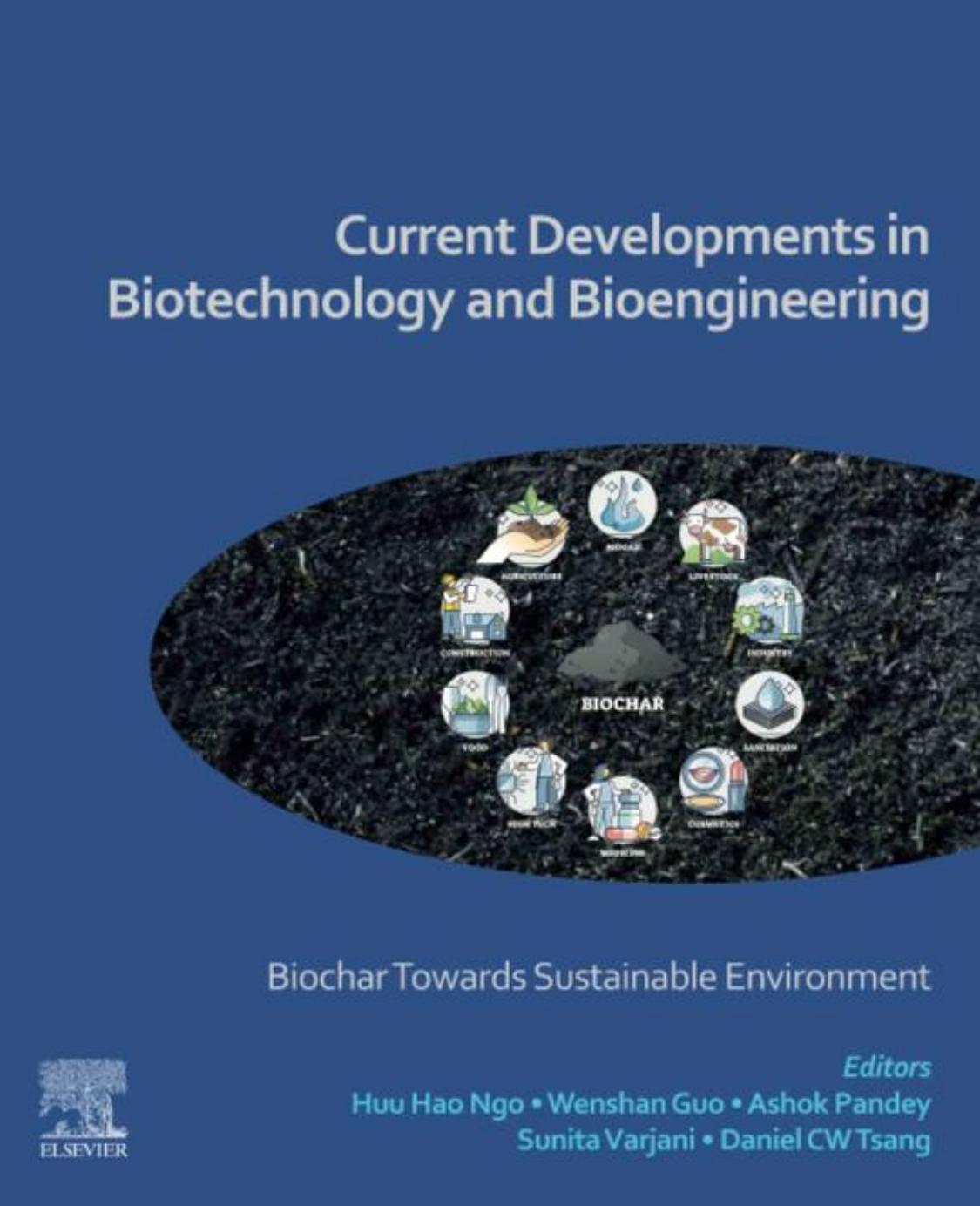 Current Developments in Biotechnology and Bioengineering: Biochar Towards Sustainable Environment by Huu Hao Ngo Wenshan Guo Ashok Pandey Sunita Varjani Daniel C.W. Tsang