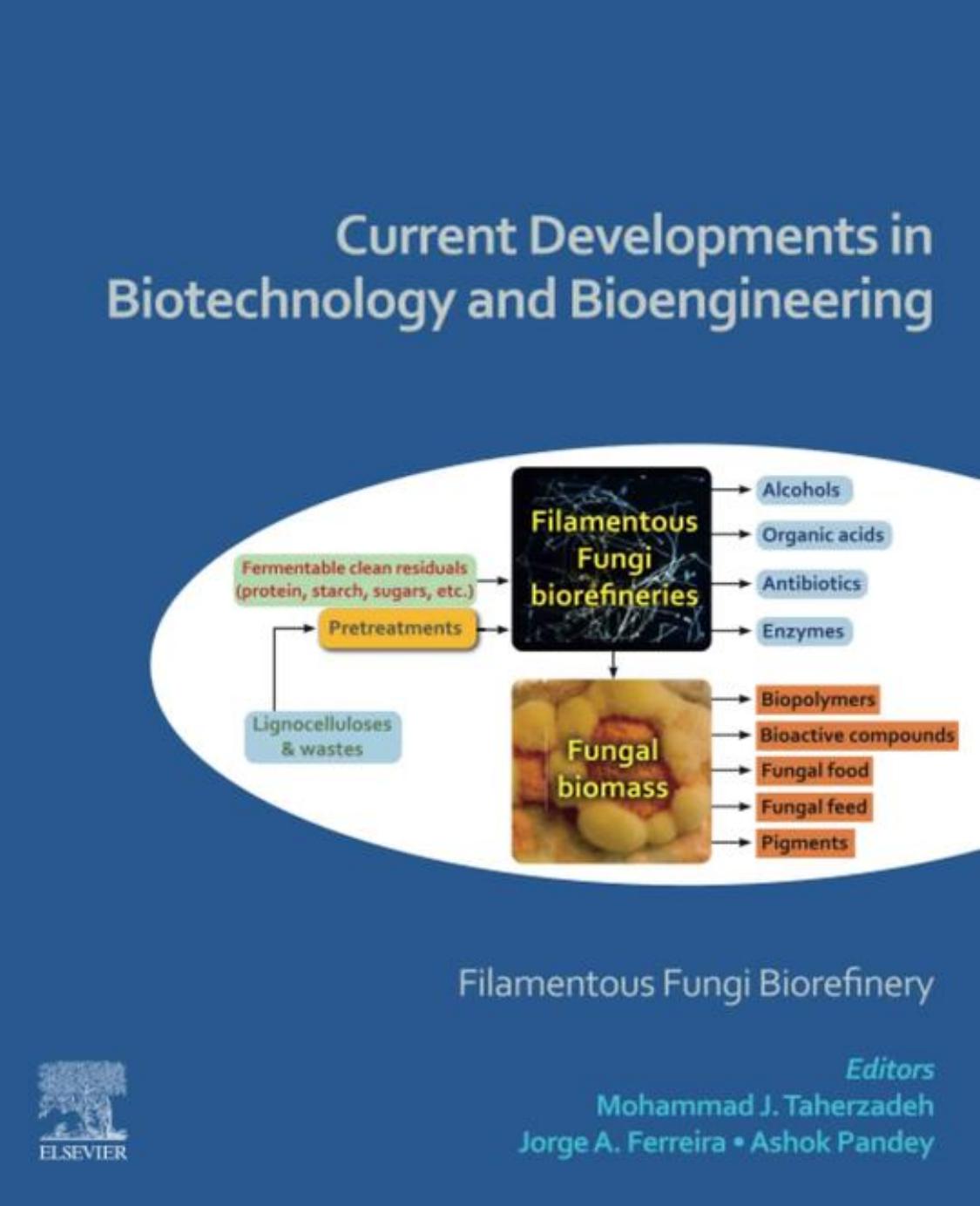 Current Developments in Biotechnology and Bioengineering: Filamentous Fungi Biorefinery by Mohammad Taherzadeh Jorge Ferreira Ashok Pandey