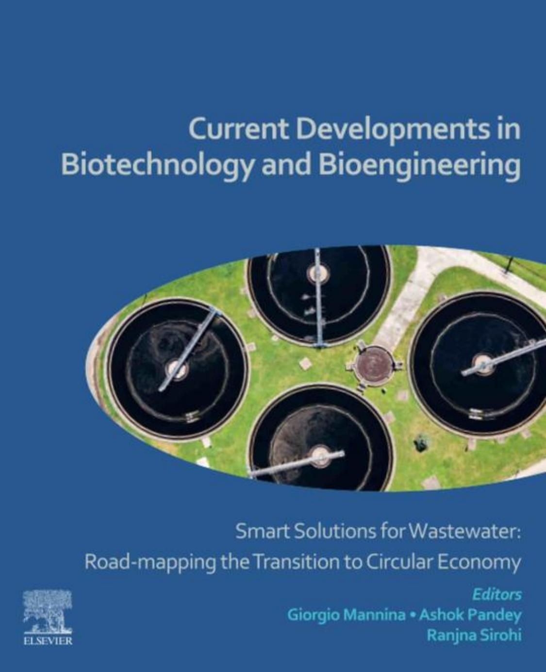 Current Developments in Biotechnology and Bioengineering: Smart Solutions for Wastewater: Road-mapping the Transition to Circular Economy by Giorgio Mannina Ashok Pandey Ranjna Sirohi
