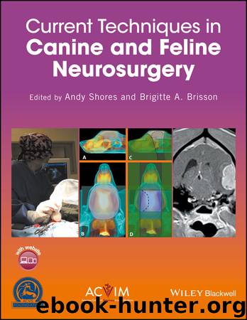 Current Techniques in Canine and Feline Neurosurgery by Andy Shores & Brigitte A. Brisson