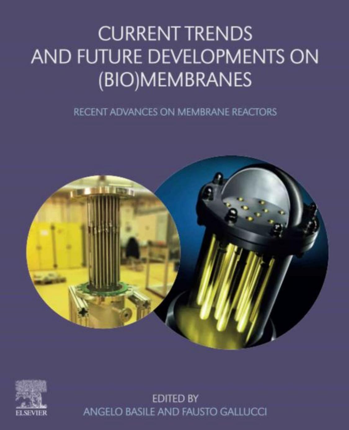 Current Trends and Future Developments on (Bio-) Membranes: Recent Advances on Membrane Reactors by Angelo Basile Fausto Gallucci