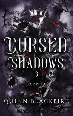 Cursed Shadows 3 (The Dark Fae): Dark Fantasy Enemies to Lovers (Cursed Shadows (The Dark Fae)) by Quinn BLACKBIRD