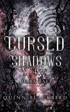 Cursed Shadows 4 (The Dark Fae) (Cursed Shadows (The Dark Fae)) by Quinn BLACKBIRD