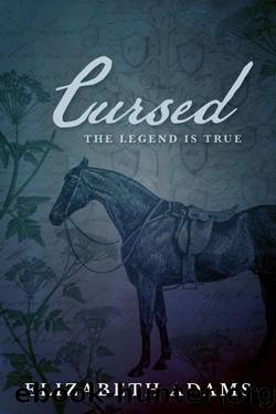 Cursed: A Pride & Prejudice Nightmare (A Collection of Unusual Tales) by Elizabeth Adams