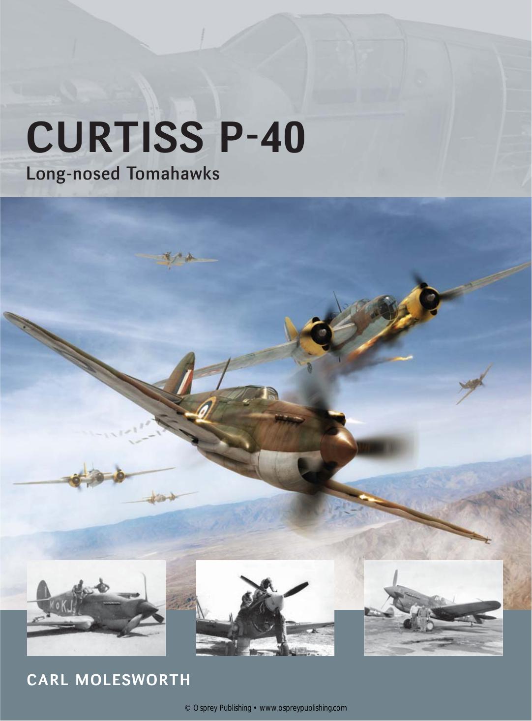 Curtiss P-40 Long-nosed Tomahawks by Carl Molesworth