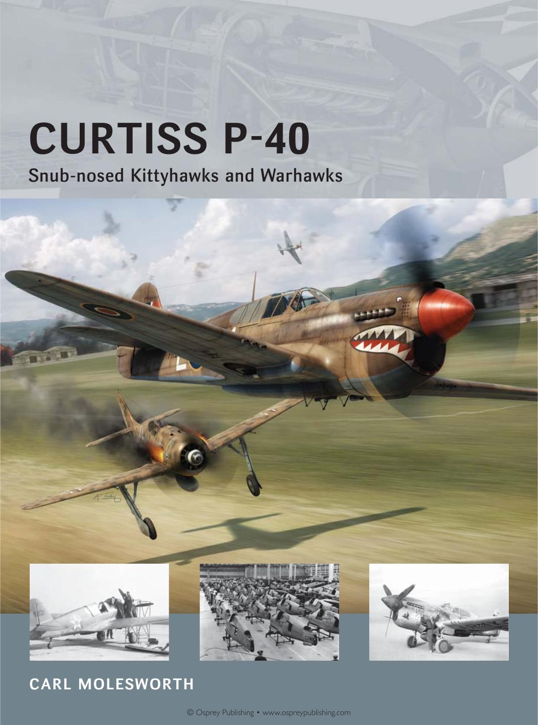 Curtiss P-40: Snub-nosed Kittyhawks and Warhawks (Air Vanguard) by Carl Molesworth Adam Tooby Richard Chasemore