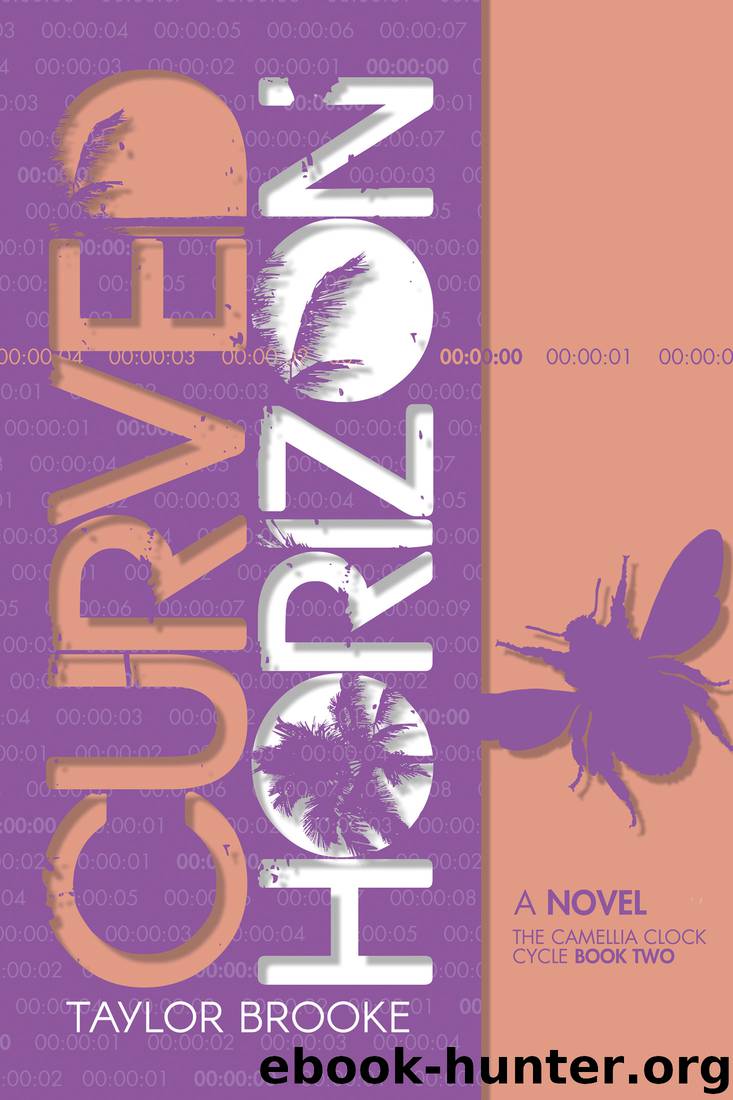 Curved Horizon by Taylor Brooke