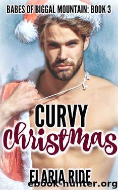 Curvy Christmas (Babes of Biggal Mountain Book 3) by Elaria Ride