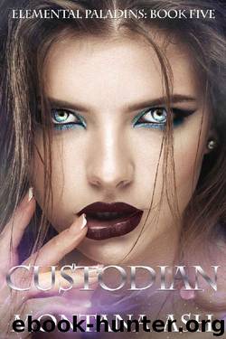 Custodian (Elemental Paladins Book 5) by Montana Ash