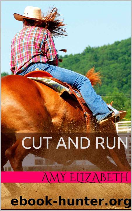 Cut and Run (Aspen Eyes Series) by Amy Elizabeth