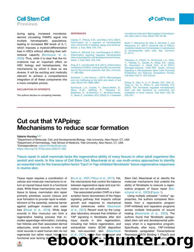 Cut out that YAPping: Mechanisms to reduce scar formation by Valerie Horsley