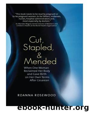 Cut, Stapled, and Mended by Roanna Rosewood