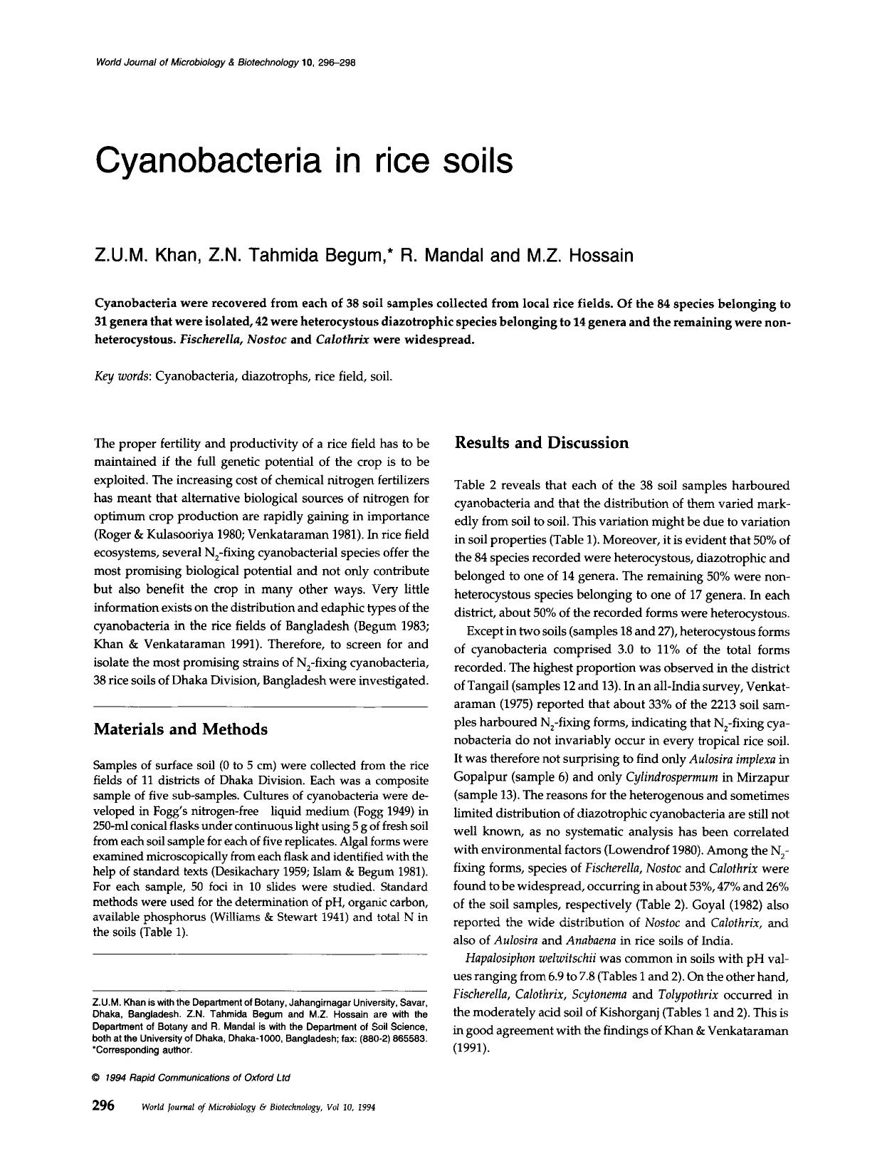 Cyanobacteria in rice soils by Unknown