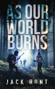 Cyber Apocalypse (Book 3): As Our World Burns by Hunt Jack