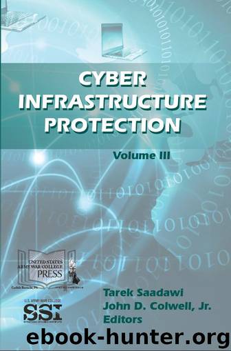 Cyber Infrastructure Protection: Vol. III by U.S. Department of Defense