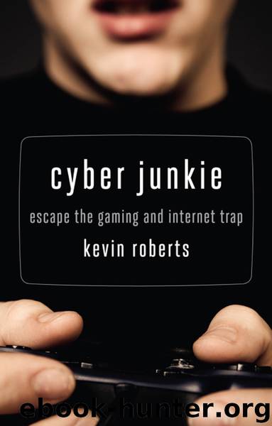 Cyber Junkie by Kevin Roberts