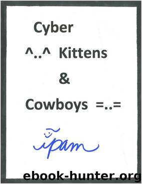 Cyber Kittens and Cowboys by Ipam
