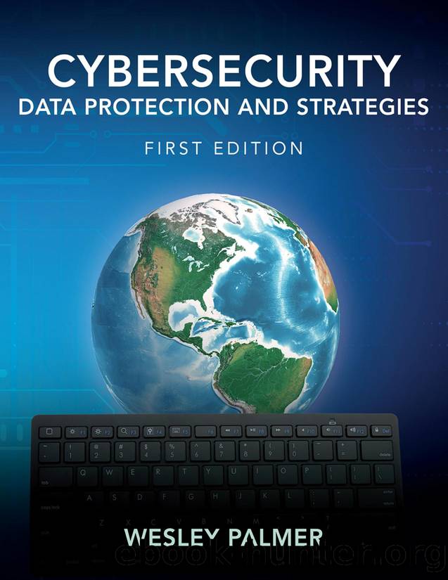 Cybersecurity--Data Protection and Strategies by Wesley Palmer