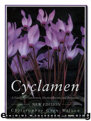 Cyclamen by Christopher Grey-Wilson