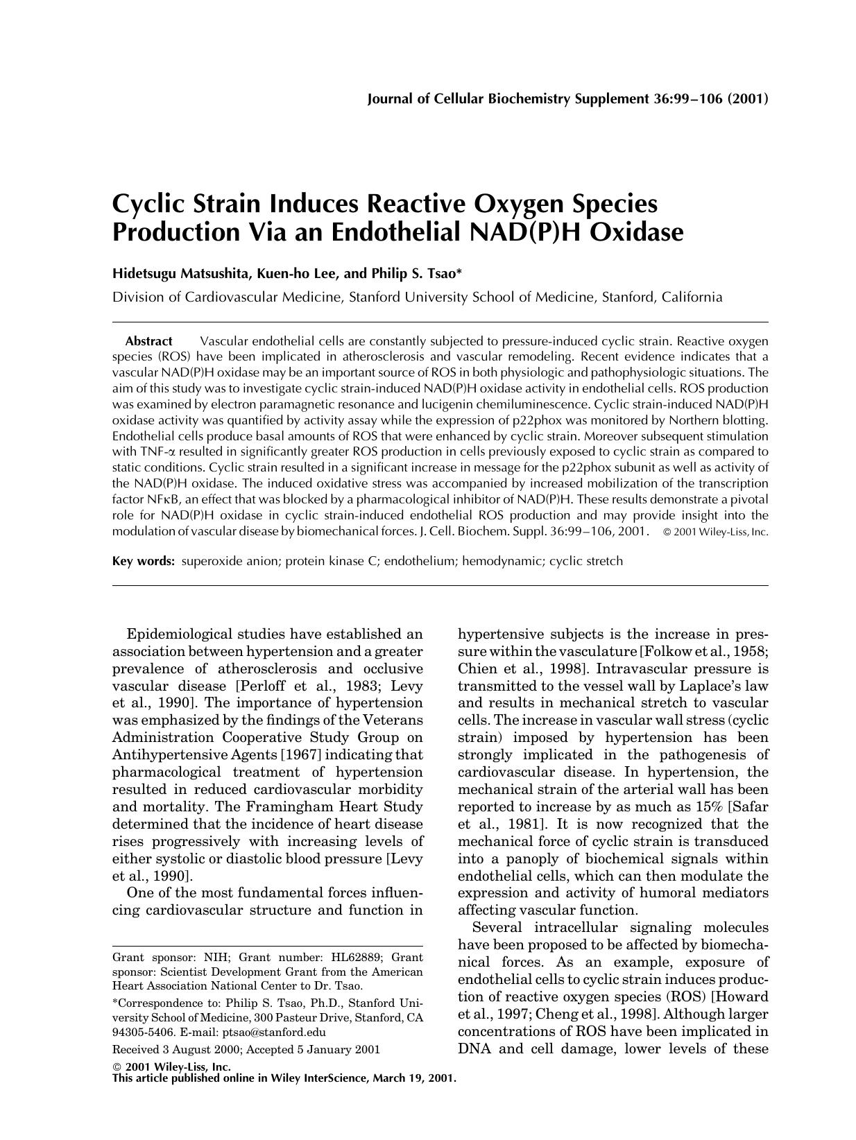 Cyclic strain induces reactive oxygen species production via an endothelial NAD(P)H oxidase by Unknown