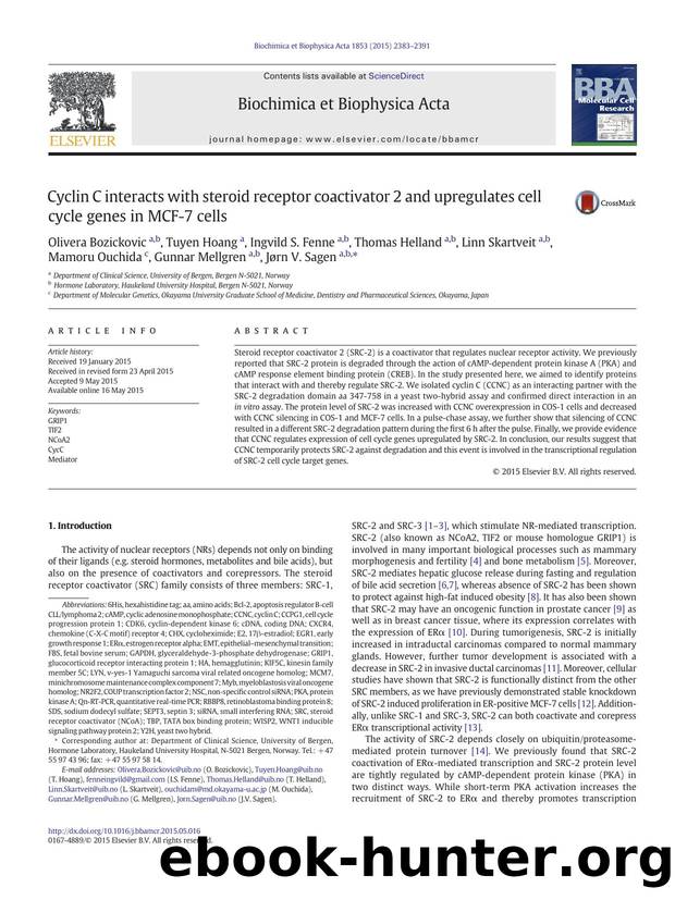 Cyclin C interacts with steroid receptor coactivator 2 and upregulates cell cycle genes in MCF-7 cells by unknow