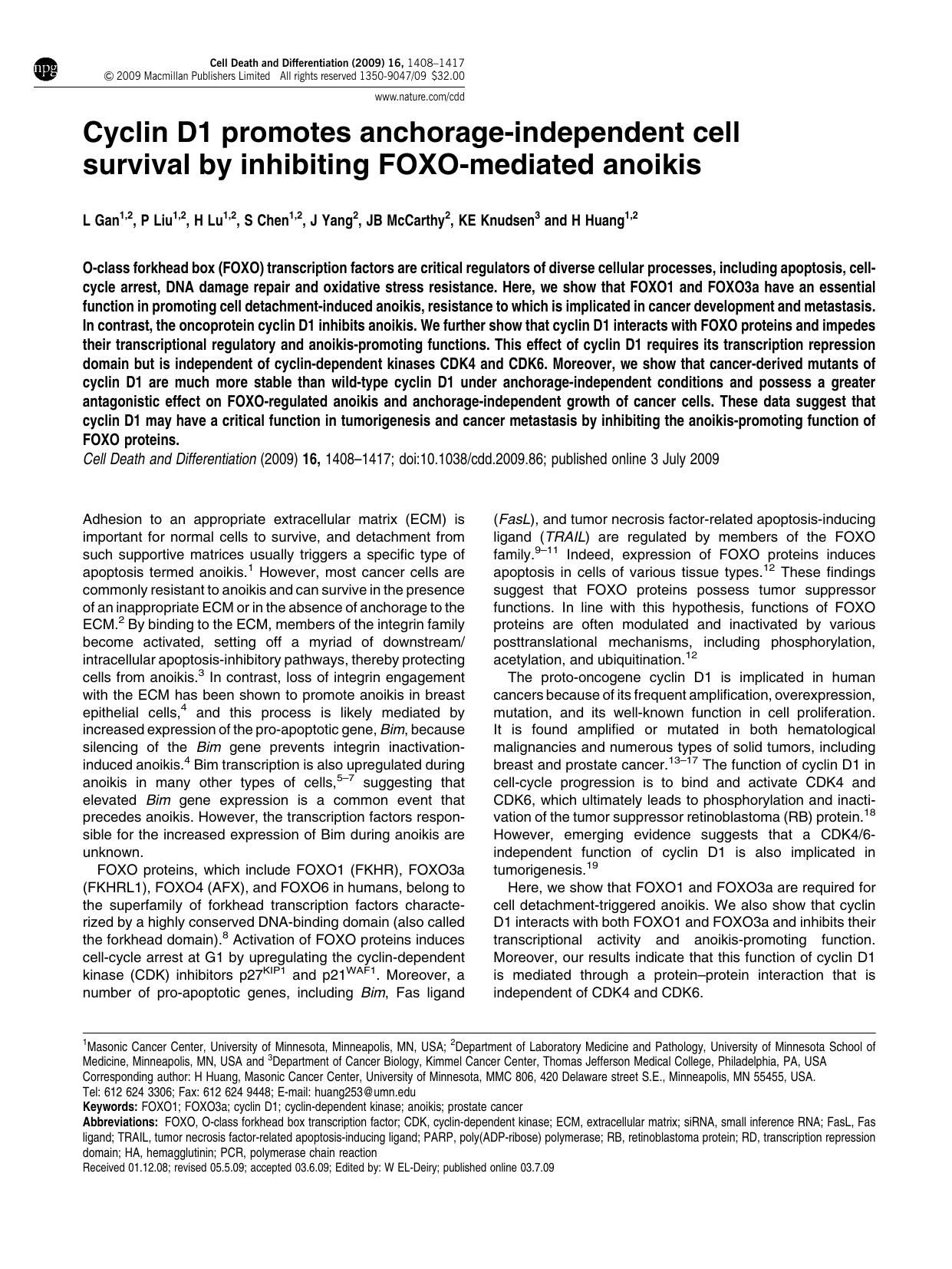 Cyclin D1 promotes anchorage-independent cell survival by inhibiting FOXO-mediated anoikis by L Gan & P Liu & H Lu & S Chen & J Yang & J B McCarthy & K E Knudsen & H Huang