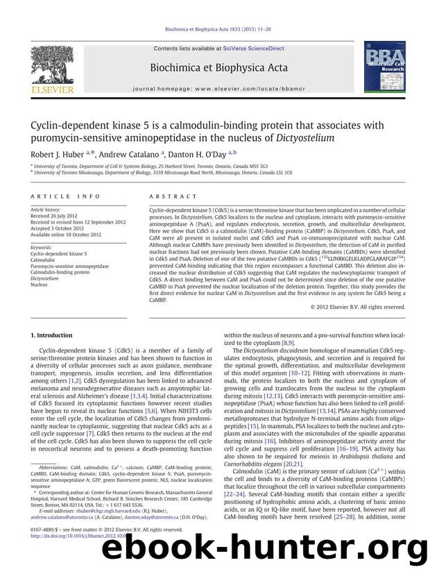 Cyclin-dependent kinase 5 is a calmodulin-binding protein that associates with puromycin-sensitive aminopeptidase in the nucleus of Dictyostelium by Robert J. Huber & Andrew Catalano & Danton H. O'Day