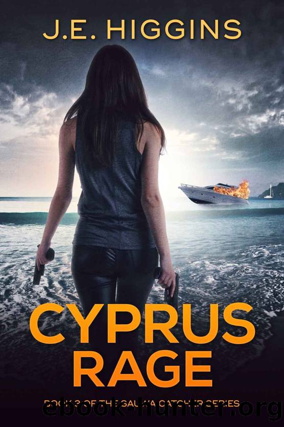 Cyprus Rage by J. E. Higgins