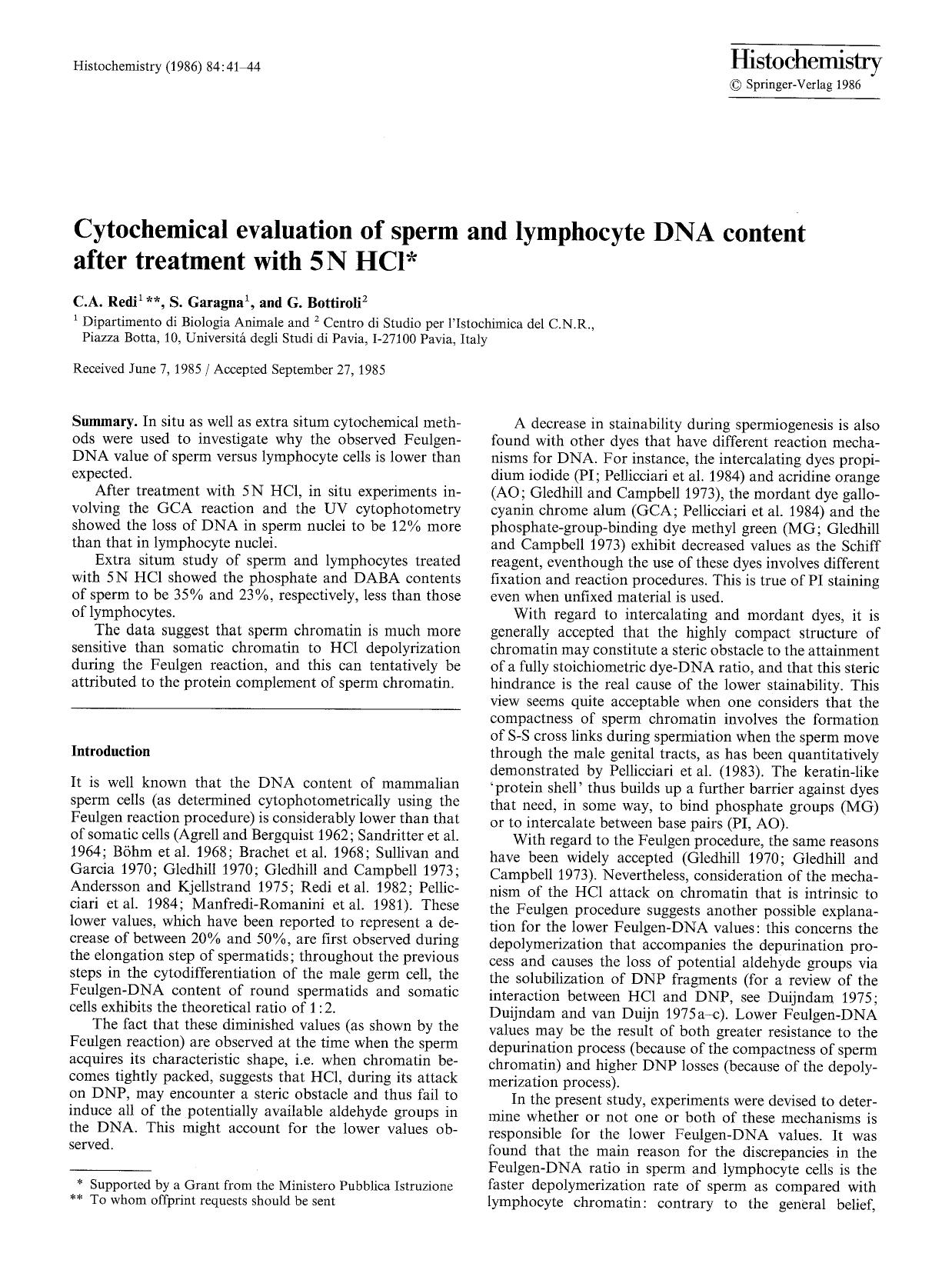 Cytochemical evaluation of sperm and lymphocyte DNA content after treatment with 5N HCl by Unknown