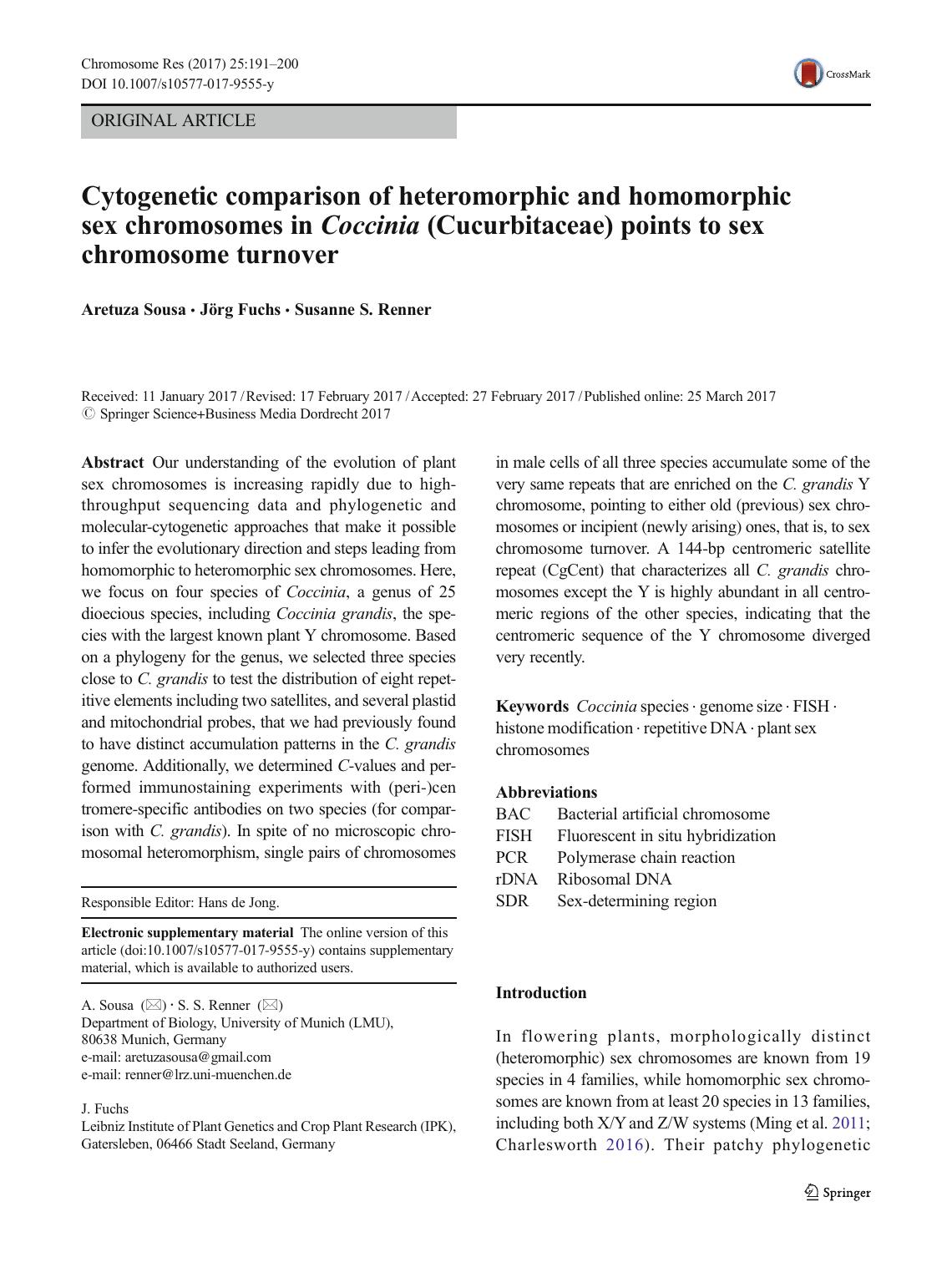 Cytogenetic comparison of heteromorphic and homomorphic sex chromosomes in Coccinia (Cucurbitaceae) points to sex chromosome turnover by Aretuza Sousa & Jörg Fuchs & Susanne S. Renner