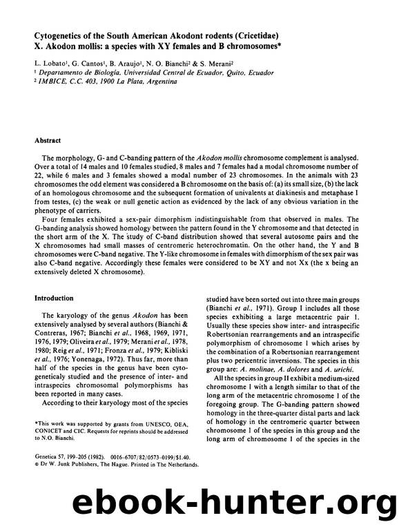Cytogenetics of the South American Akodont rodents (Cricetidae) X. Akodon mollis: a species with XY females and B chromosomes by Unknown