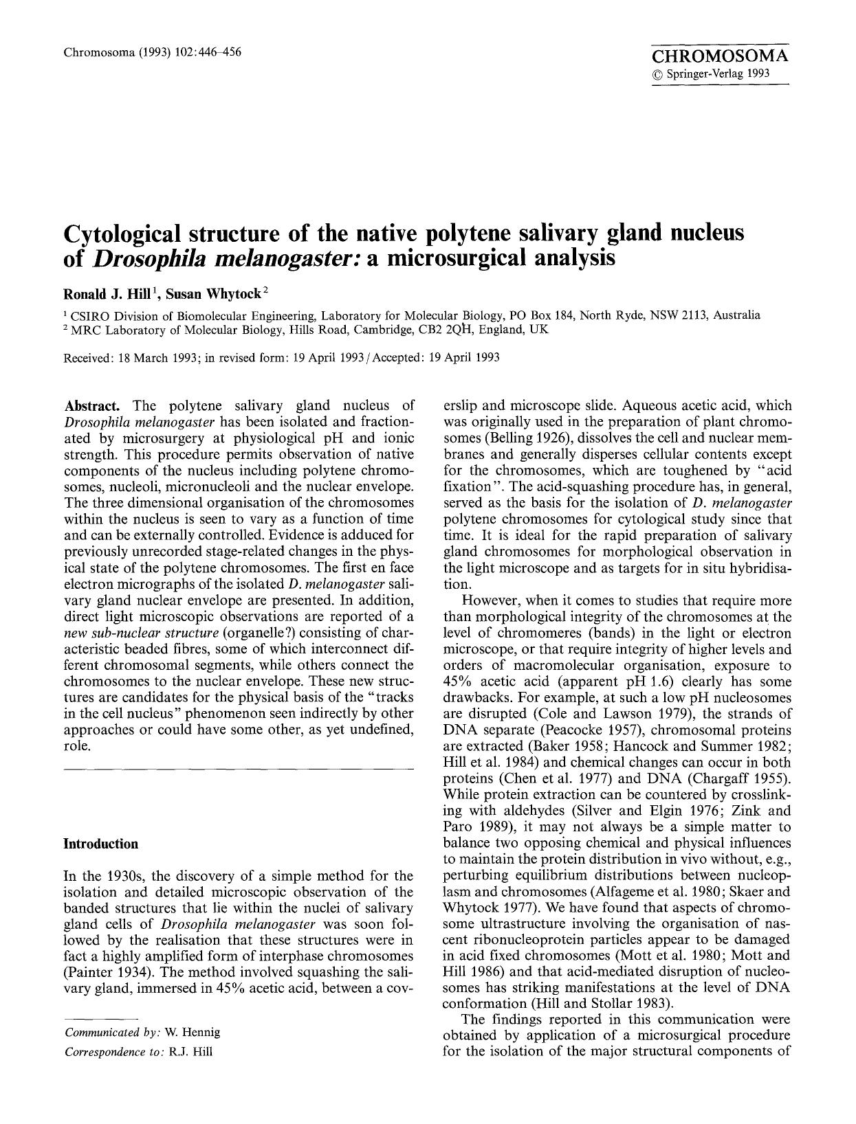 Cytological structure of the native polytene salivary gland nucleus of <Emphasis Type="Italic">Drosophila melanogaster<Emphasis>: a microsurgical analysis by Unknown