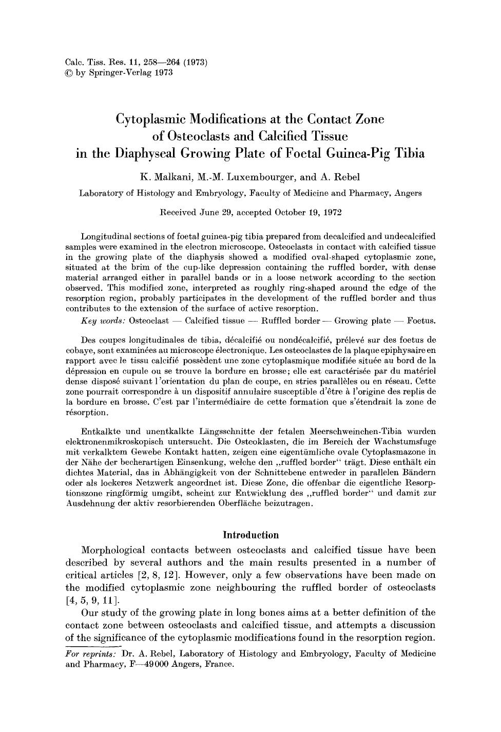 Cytoplasmic modifications at the contact zone of osteoclasts and calcified tissue in the diaphyseal growing plate of foetal guinea-pig tibia by Unknown
