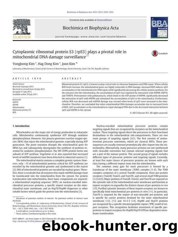 Cytoplasmic ribosomal protein S3 (rpS3) plays a pivotal role in mitochondrial DNA damage surveillance by YongJoong Kim & Hag Dong Kim & Joon Kim