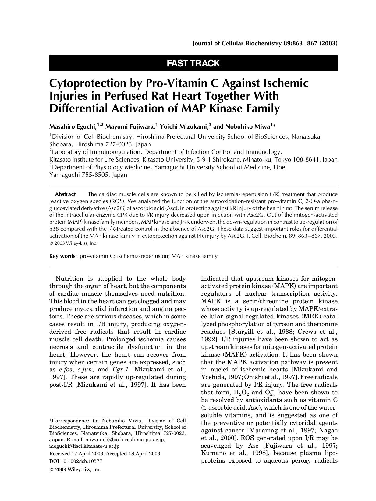 Cytoprotection by pro-vitamin C against ischemic injuries in perfused rat heart together with differential activation of MAP kinase family by Unknown